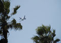 "LAX", Palms and Planes Series