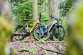 Waldbike