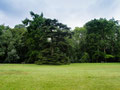 PARKS, Azay-le-Rideau I,  2013