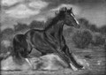 ABS de cheval