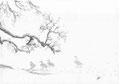 Cygnes sauvages, d'après une photo de Vincent Munier 