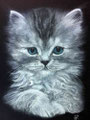 Chaton de Margot Dessin