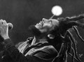 Bob Marley. Dessin au crayon blanc sur papier noir, format 39 x 29 cm
