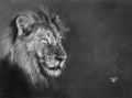 Surveillance nocturne