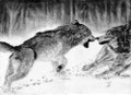 Jeu de Loups