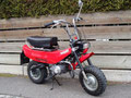Benelli City Bike 50