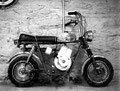 Fox Street Scamp Minibike