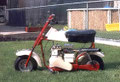 Fox Campus Bike 1964