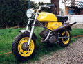 Flandria Week-end