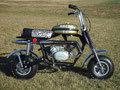 Arctic Cat Whisker 1972