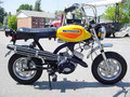 Harley-Davidson Shortster