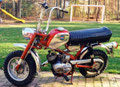 Benelli Dynamo Trail