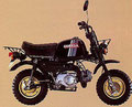 Honda Gorilla Z50J 1981