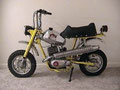 Broncco Minibike