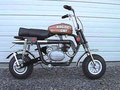 Arctic Cat Whisker 1971