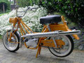 Flandria Torino