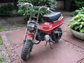 Benelli City Bike 1975