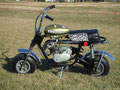 Arctic Cat Whisker 1972