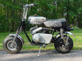 Arctic Cat Screamer 1971