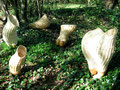 Paniers-corps, bois sculpté et vannerie d'osier blanc, 2007