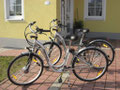 Unsere E-Bikes