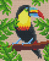 Toucan