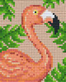 flamant rose