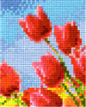 Tulipe