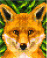 Renard
