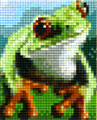 grenouille