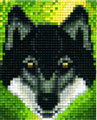 Loup