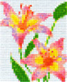 Lys