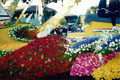 Academia de Arte Yepes students with their "Rose Parade" Float Design for the City of Los Angeles • Pasadena, CA  USA