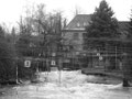 Wildwasser im Herzen der Stadt