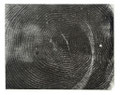 Ringe (Baumringe 04), Druckfarbe auf Papier, 30,0 x 24,0 cm, 1997