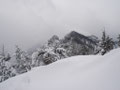 ... auf den großen Bruder, den Großen Sonnstein (1037m).