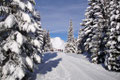 Nach einem kurzen Stück durch den schneebedeckten Wald entlang der Loipe, …