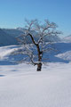 Ständig zückte jemand unsere Gruppe die Digicam, um die wundervollen Winterimpressionen auf Bild festzuhalten.