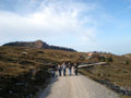 ... wir folgten flott der Forstraße Nr. 877 Richtung Wieslerhütte und Wiesleralm.