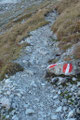 Oberhalb des felsdurchsetzten Felsgeländes trafen wir auf den steinigen Wanderweg, ...