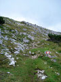 Lissi und ich wanderten den letzten Rasenhang des Gipfelrückens empor. Vor uns tauchten die „Raubtiere“ auf – es waren "Sockenbären".