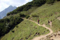 Wie eine riesige Schlange schlängelte sich das Wandersteiglein kurz oberhalb der „Dr. Heinrich-Hackl-Hütte (1526m)“ den Berghang entlang.