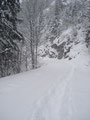 An dieser Stelle konnte man schon sehen, daß der Schnee immer mehr wurde, desto höher wir kamen. Wir wechselten uns hier regelmäßig ab, einmal ging Tourleader Rudolf vorne, dann wieder ich.