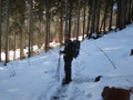 ... schritten wir den Steig empor.