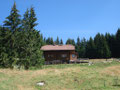 Zwischenstop auf der Spitzlsteinalm. Saftig grün, hier oben .......