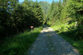Nach einem 2km langem „Forststraßenhatscha“ leitete mich ein kleines Rot-weiß-rotes Schild rechts in den Wald hinauf.