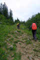 Unterhalb des „Großen Donnerkogel (2054m)“ bahnte sich der Wanderweg in einem großzügigen Rechtsbogen seinen Weg durch die Landschaft, wie so oft ging es dabei auch nach oben. Schnauf.