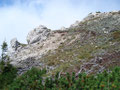 Wiederum skurille Eindrücke aus der Bergflora des Höllengebirges.