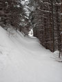 ... bevor wir endlich wieder auf den weiter oben führenden Wandersteig trafen. Wir folgten diesen. Von nun an, wurde der Neuschnee tiefer ... und immer tiefer.