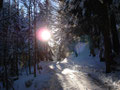 Eine wunderschöne Winteridylle zeigte sich uns ...